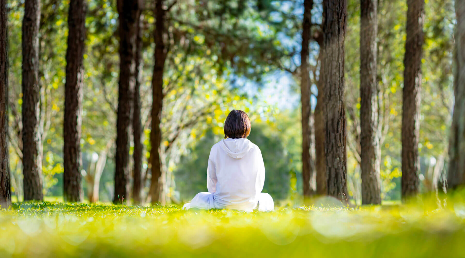 Person meditating in a peaceful forest.